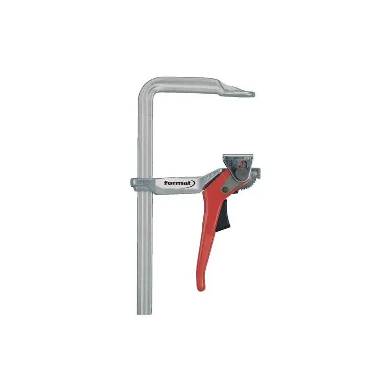 Celokovová páková svorka 250x120 mm Format - Kupte nyní
