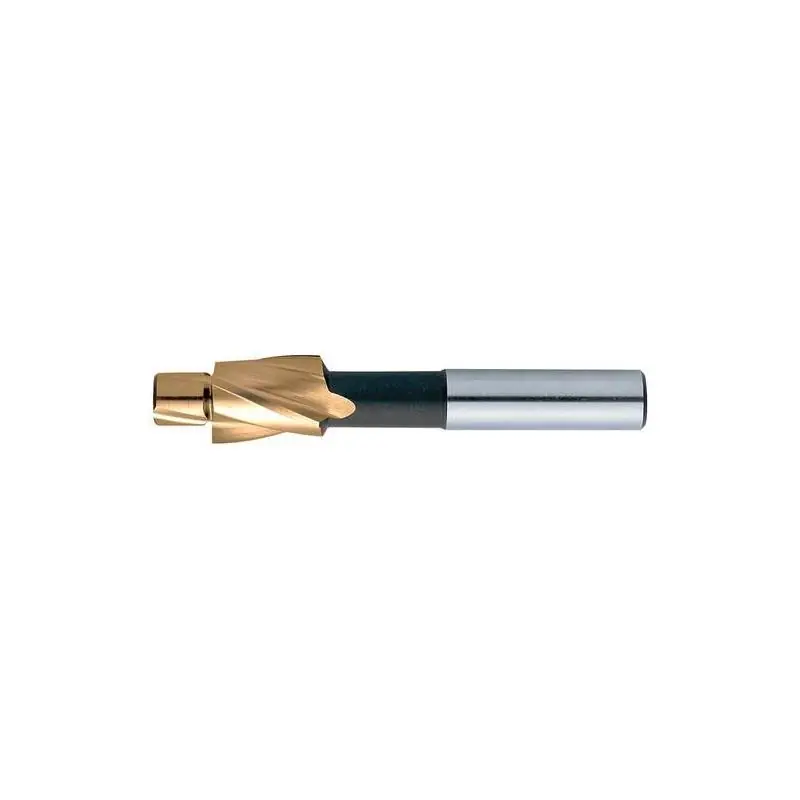 Záhlubník plochý 180° D373 HSS TiN 2M10 F DL Format | Neváhejte