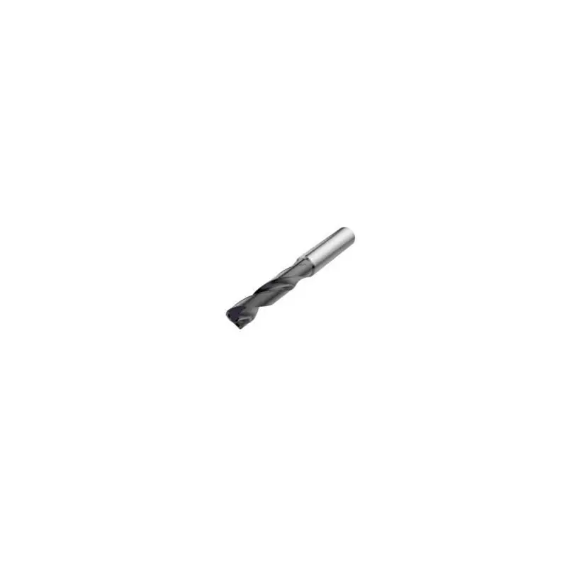 Outlet | SD203A-0555-020-06R1-P Vrták monolitní Feedmax SD2xx