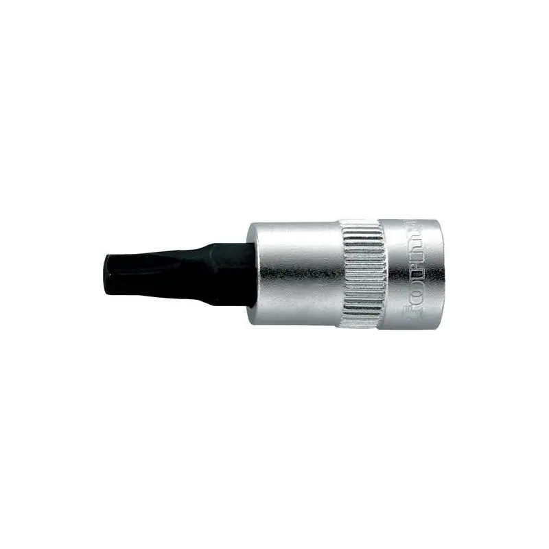 Šroubovák 1/4" Torx T25x36 mm Format | Rychlé doručení
