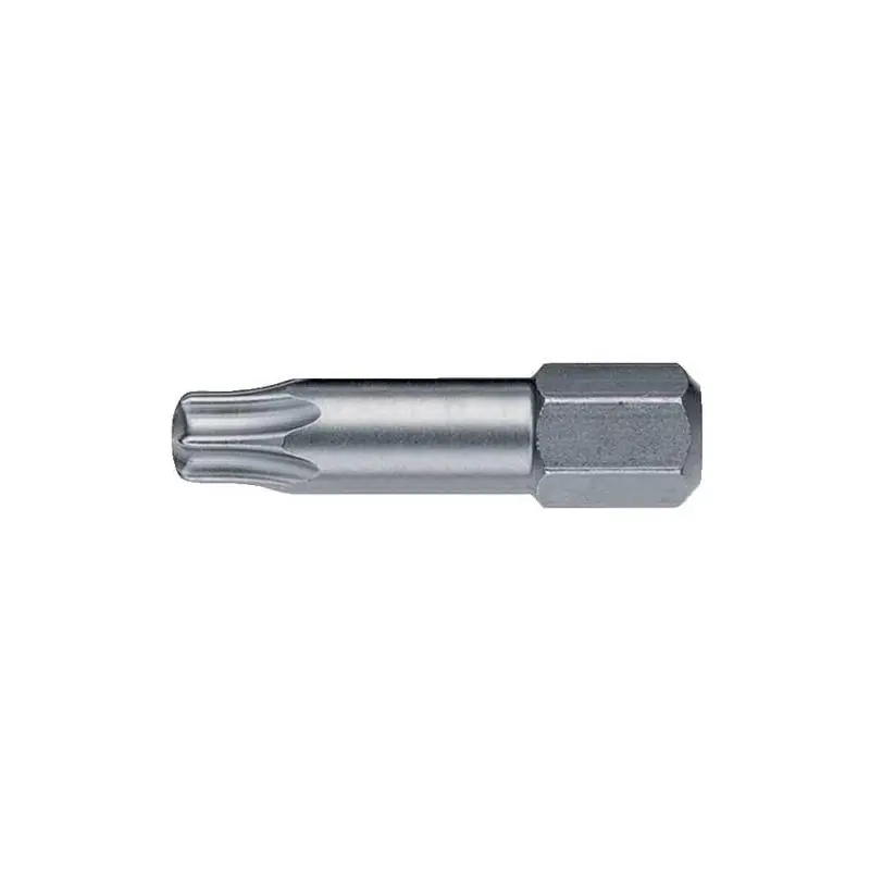 Bit 1/4" DIN 3126 C 6,3 T20x 25 mm Torsion Format - Nově v nabídce