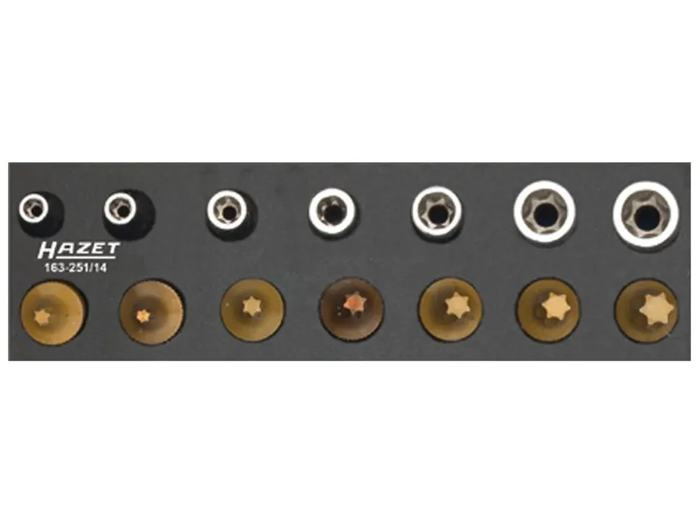 TORX sada nářadí, Hazet 163-251/14 | Rychle mizí