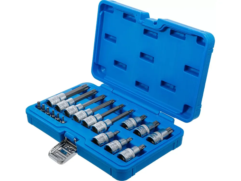 Sada hlavic s bity Torx, 1/4", 1/2", T10 - T60, 18 ks - B5173 | Premium