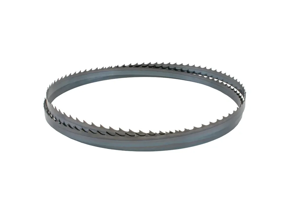 Speciální cena - IGM Carbon FORCE HOOK Pilový pás 3860mm - 19 x 0,8mm 2TPi