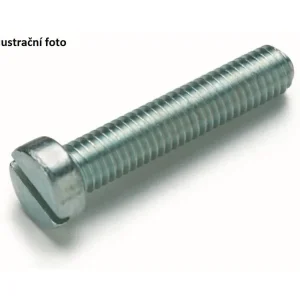 Akční nabídka - Válcový šroub M4/30 mm (100 ks)
