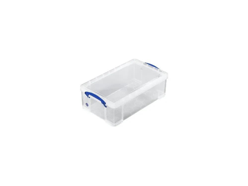 Končí brzy - Plastový úložný box s víkem, really useful box, průhledný, 12 litrů