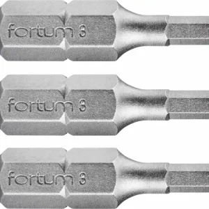 FORTUM Bit imbus sada 3ks, H 3x25mm, S2 4741504 | Žádaný produkt