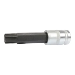 Nabídka končí brzy - TRIUMF hlavice zástrčná 1/2", Ribe M6 x 100 mm, S2